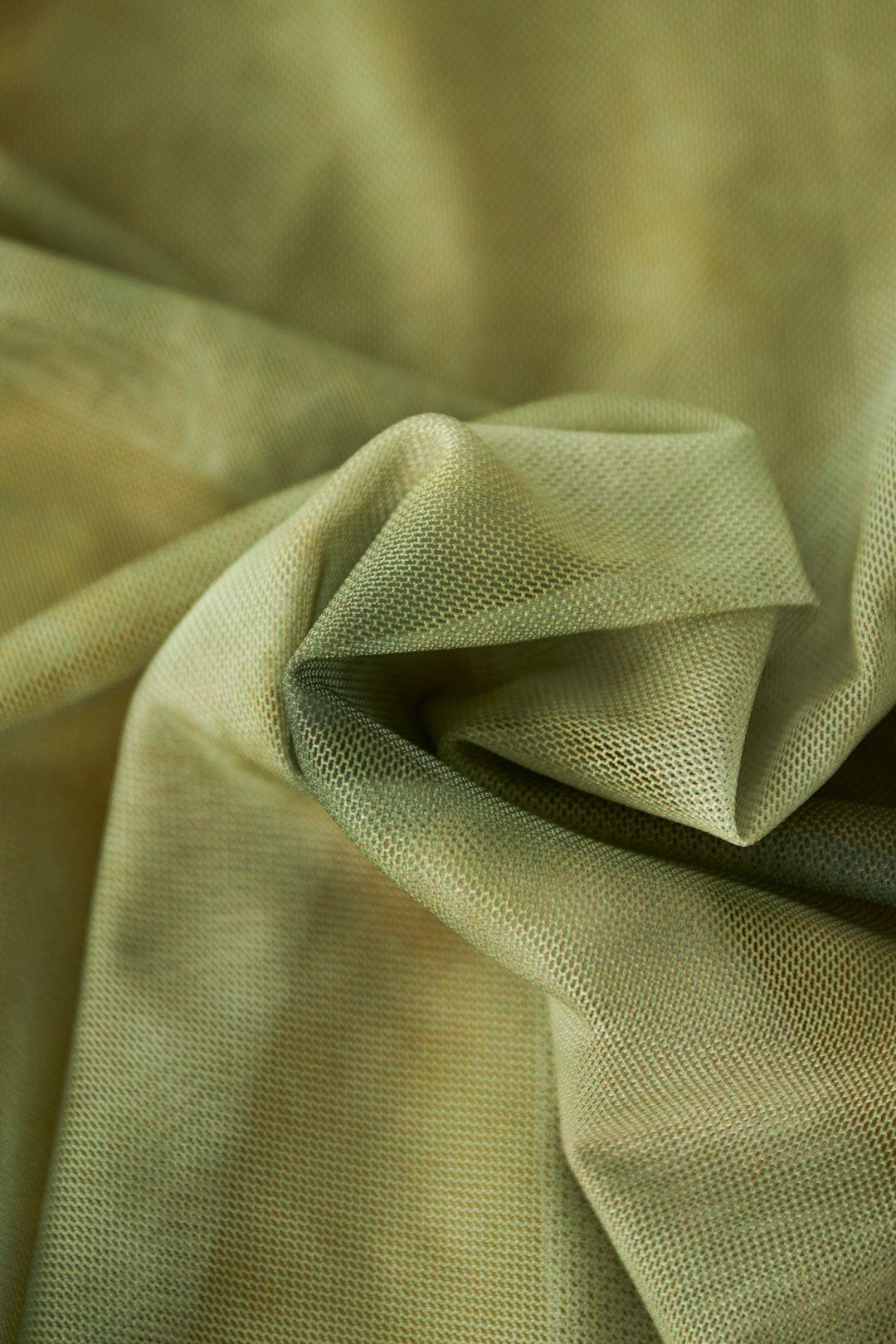 Festival Lola manica lunga